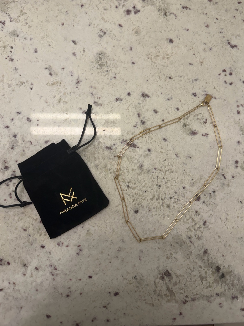 NWOT Miranda Frye Gold Paperclip Link Necklace
